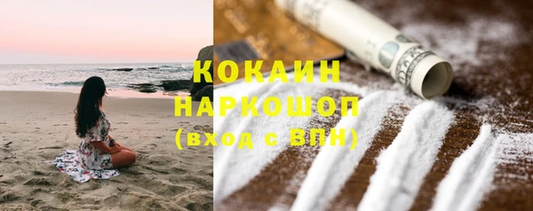 сатива Зеленодольск