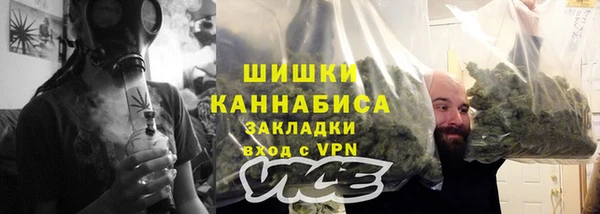 сатива Зеленодольск