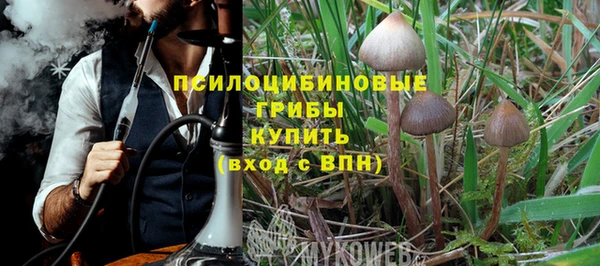 прущая мука Заводоуковск