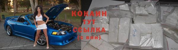шишки Заволжье