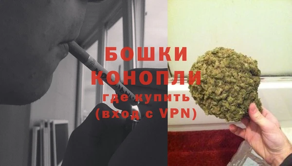 сатива Зеленодольск