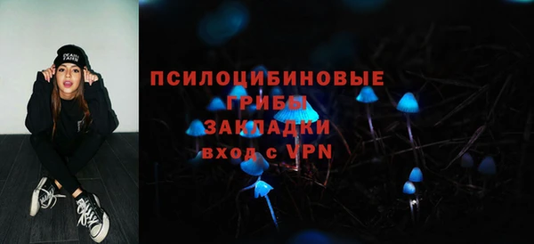 сатива Зеленодольск