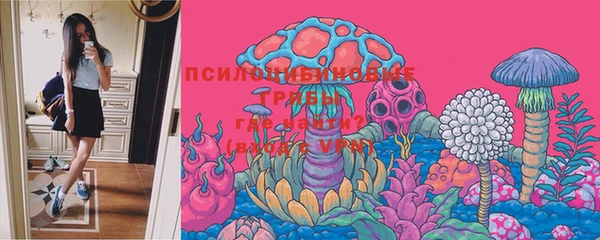 шишки Заволжье