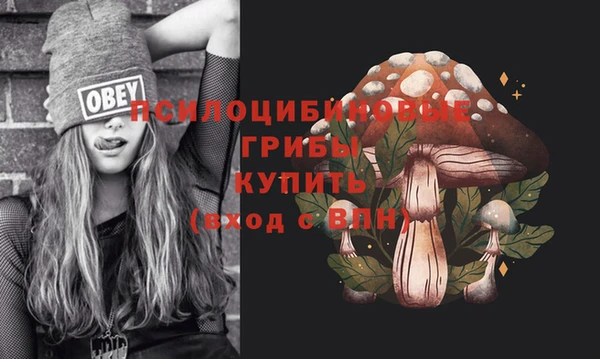 прущая мука Заводоуковск