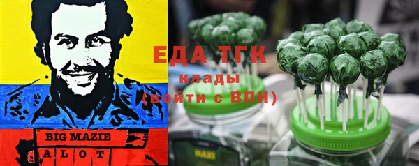 шишки Заволжье