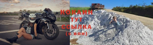 шишки Заволжье