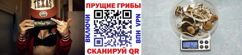 гидра tor  как найти закладки  Исилькуль  Галлюциногенные грибы Cubensis 